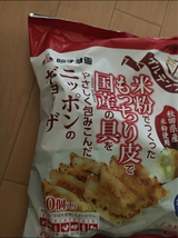 餃子計画 ニッポンのギョーザ 40個