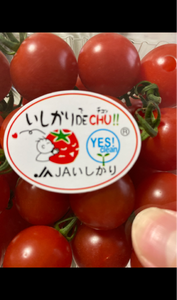 JA石狩 いしかりDECHU 200gのレビュー画像