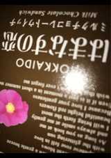 北菓楼 はまなすの恋ミルクウィッチ 12枚