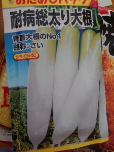 日本農産 耐病総太り大根おためしパック 1Pの商品写真