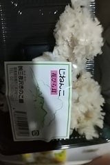 東群 はなびらたけ 群馬県産 100g