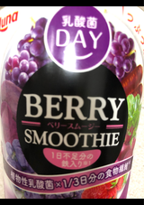 日本ルナ 乳酸菌DAY ベリースムージー 240g