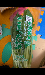 サンサン 小松菜