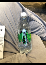 ベガシー ヴォックス炭酸水 ミント 500ml