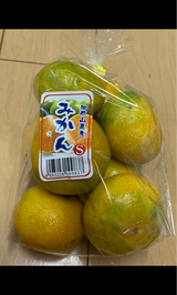 アオギリミカン フクロ     フクロ