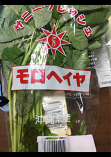 サニー もろへいや 1P