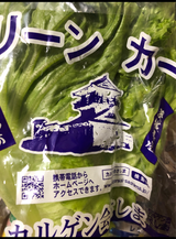 カルゲン会 グリーンカール