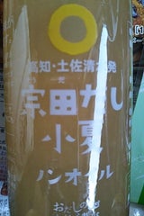 宗田だし小夏ノンオイルドレッシング 160ml