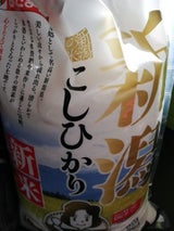 幸南 新潟県産こしひかり100% 袋 10kg