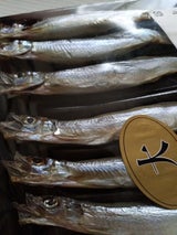 マルイチ ISL子持ししゃも7L 8尾