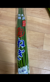 大一 うまねぎ用袋 1P