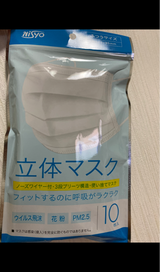 日翔 使い捨てマスク 普通 10枚