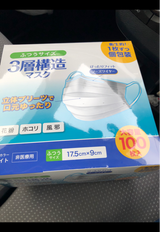 メルトブロー3層構造不織布マスクLサイズ 100枚