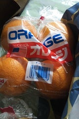 堀江 オレンジ