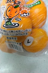 乃万青果 愛媛みかん機能性表示食品 1.5kg