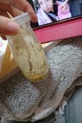 川本 天使のプリンちゃん(プレーン) 1個