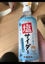 サッポロウエシマ オホーツク塩サイダー 500ml