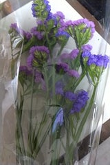 ジェイアンドエフ 榊