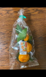 芋銀 葉付みかん 熊本県産 3個の商品写真