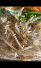 ふたみ 野菜炒め 小