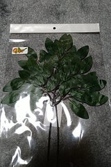 マコトショウジ サカキ 2P