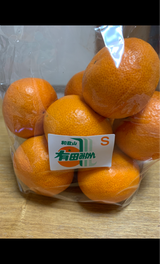 丸誠 有田みかん(S) 袋 9個