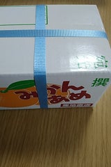 世起 みかんあめ 85g