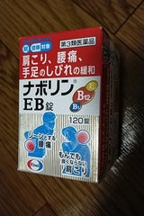 ナボリンEB錠 120錠