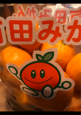 JA和歌山 有田みかん スタンドパック 2kg