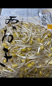 青木　極小大豆もやし　２００ｇのレビュー画像