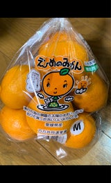 乃万青果 愛媛みかんM機能性表示食品 1.5kg