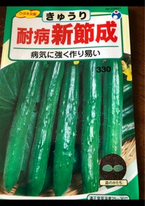 ウタネ　新節成胡瓜の商品写真