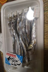 かねこ 片口いわし丸干し 9尾