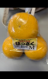 カネ一 はっさく 1P