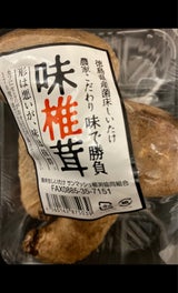 サンマッシュ しいたけ 1P