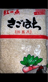 岩田 紅一点 さごはち  600g