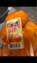 ダイプラ みかんネット L