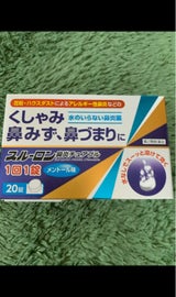 スルーロン鼻炎チュアブル 20錠