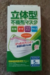 ヘルスター 立体不織布マスク ふつうサイズ 5枚