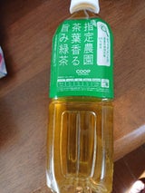 ウエシマ おりた園旨味緑茶N 500ml