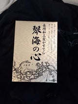 琴海堂 長崎和三盆かすてら琴海の心 0.5号