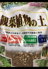 大宮グリーン 観葉植物の土 2L