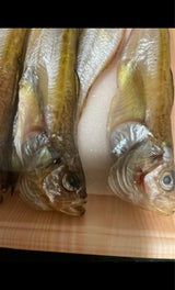 渡辺 はたはた丸干し