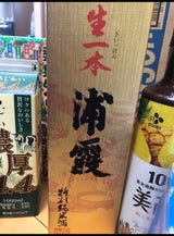 浦霞 特別純米 生一本 箱 720ml