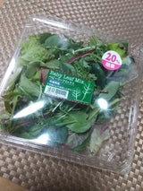 エムヴイエム ベビーリーフミックス