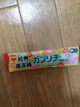 明治ガム ガブリチュウ紀州南高梅 14.5g