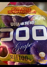 味覚糖 コロログレープ 48g