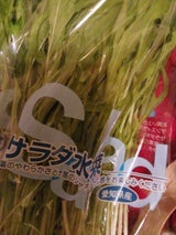 サンスイ サラダ水菜 100g