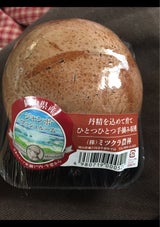 三蔵 ブラウンマッシュルーム特大 100g