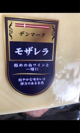 アルティフーズ デンマークモザレラ